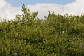 Gilkicker_13 09_7803